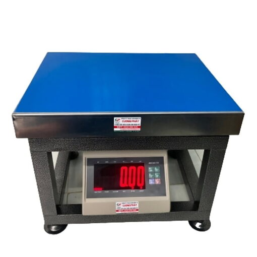 Cân điện tử ghế ngồi 300kg T7E