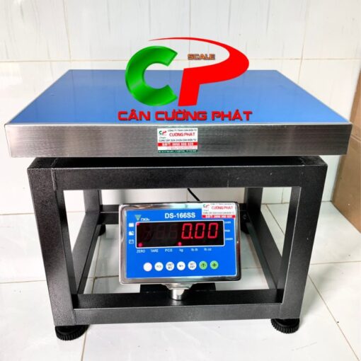 Cân ghế điện tử 100kg DS-166SS