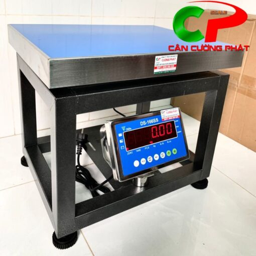 Cân điện tử ghế ngồi DS-166SS 300kg