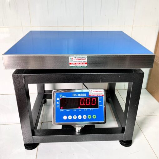 Cân điện tử ghế ngồi DS-166SS 300kg