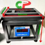Cân điện tử ghế ngồi DS-166SS 300kg