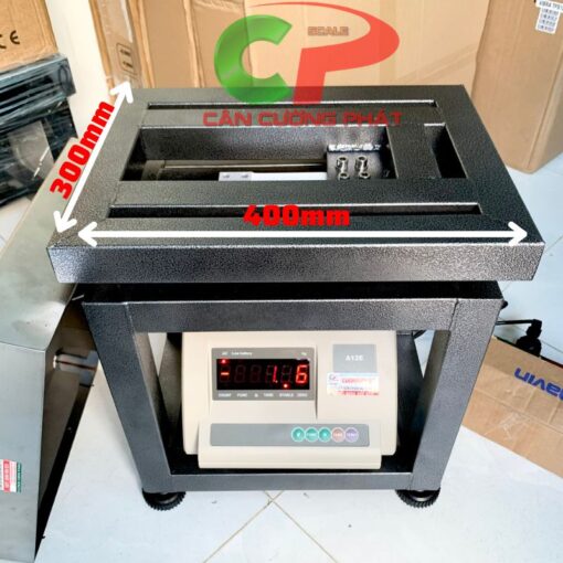 Cân ghế điện tử A12E 100kg