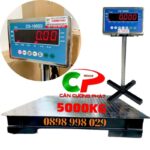 Cân sàn điện tử 5 Tấn DS166SS