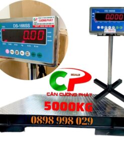 Cân sàn điện tử 5 Tấn DS166SS