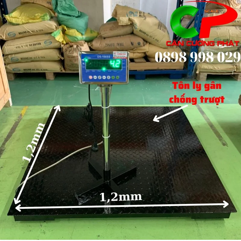 Cân sàn điện tử DS-166SS 1 Tấn Cân sàn điện tử DS-166SS 1 Tấn